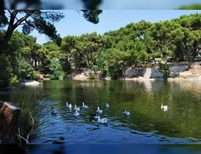 Manisa’nın Akhisar ilçesine 14 kilometre uzaklıkta bulunan Zeytinliova Mahallesi.