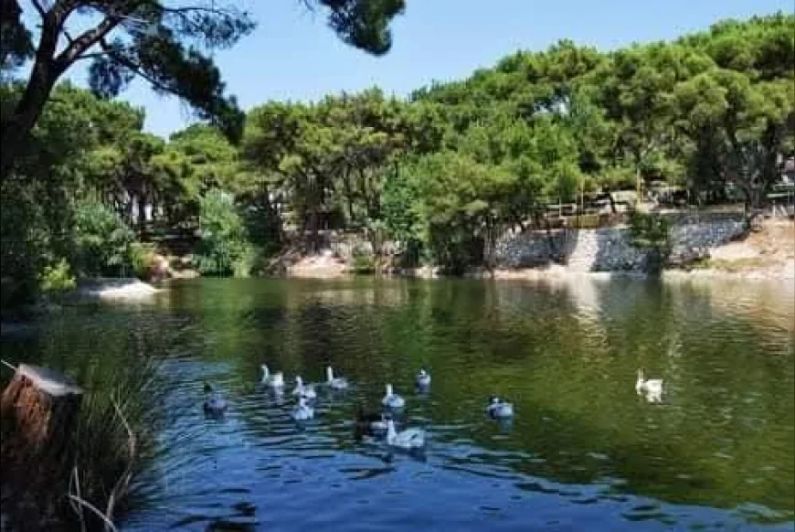 Manisa’nın Akhisar ilçesine 14 kilometre uzaklıkta bulunan Zeytinliova Mahallesi.