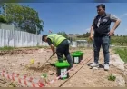 İzmir Büyükşehir Belediyesi’nin bokaşi uygulamasıyla evsel organik atıklar komposta dönüşerek toprağa kazandırılıyor