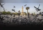 İzmir Büyükşehir Belediyesi 2074 vizyonunu Kültürpark’a taşıyor, “İki Çizgi Arasında” sergisi 5 Haziran’da kapılarını açıyor.