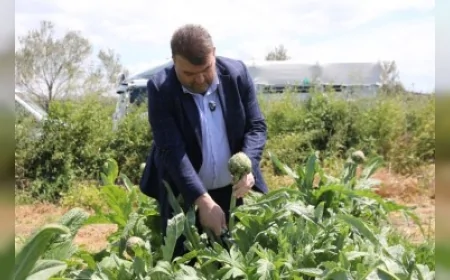Enginar hasadına Seferihisar Belediye Başkanı İsmail Yetişkin katıldı.