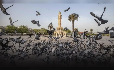 İzmir Büyükşehir Belediyesi 2074 vizyonunu Kültürpark’a taşıyor, “İki Çizgi Arasında” sergisi 5 Haziran’da kapılarını açıyor.