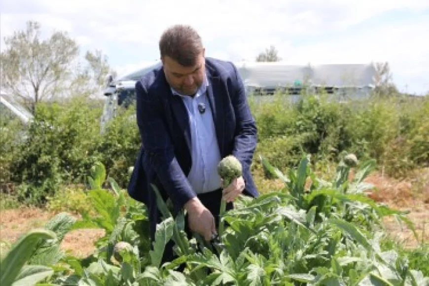 Enginar hasadına Seferihisar Belediye Başkanı İsmail Yetişkin katıldı.