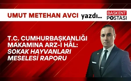 T.C. CUMHURBAŞKANLIĞI MAKAMINA ARZ-I HÂL: SOKAK HAYVANLARI MESELESİ RAPORU