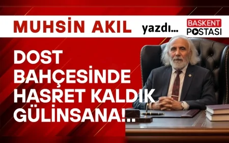 Dost Bahçesinde hasret kaldık gülinsana!..