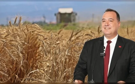Manisa Büyükşehir Belediyesi’nin Tarımsal Hibe Programında Başvuru Süresi 17 Temmuz’a Uzatıldı.