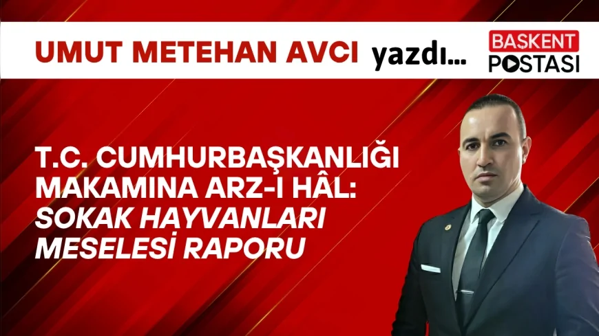 T.C. CUMHURBAŞKANLIĞI MAKAMINA ARZ-I HÂL: SOKAK HAYVANLARI MESELESİ RAPORU
