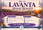 Muğla Büyükşehir Belediyesi Lavanta Hasat Şenliği'ni 30 Temmuz'da Koku Vadisi'nde DüzenleyecekALTMANŞET:
