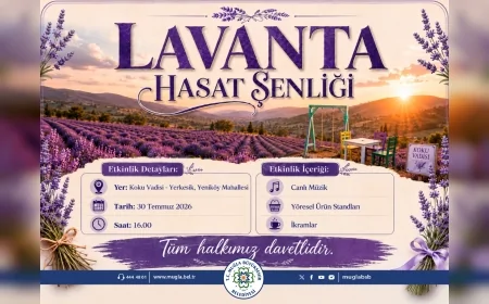Muğla Büyükşehir Belediyesi Lavanta Hasat Şenliği'ni 30 Temmuz'da Koku Vadisi'nde DüzenleyecekALTMANŞET:
