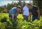 Bornova Belediye Başkanı Ömer Eşki: “Şehrin merkezinde 30 dönümlük yeni kent bostanını halkımızın hizmetine sunacağız”