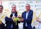 Manisa Büyükşehir Belediyesi ve Şehzadeler Belediyesi iş birliğiyle bağbozumu kültürü yeniden kent yaşamına taşınıyor