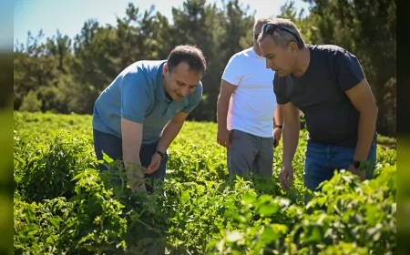 Bornova Belediye Başkanı Ömer Eşki: “Şehrin merkezinde 30 dönümlük yeni kent bostanını halkımızın hizmetine sunacağız”