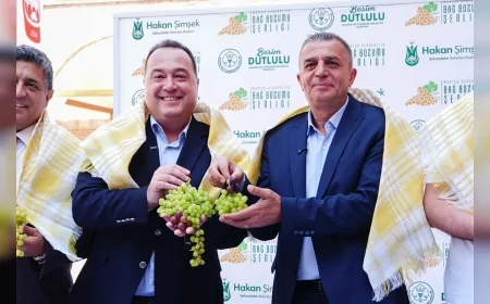 Manisa Büyükşehir Belediyesi ve Şehzadeler Belediyesi iş birliğiyle bağbozumu kültürü yeniden kent yaşamına taşınıyor