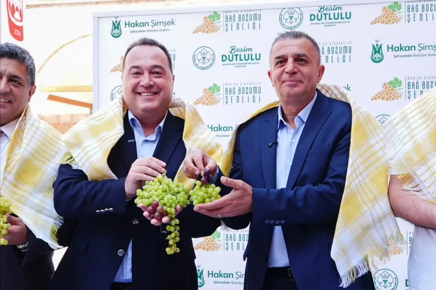 Manisa Büyükşehir Belediyesi ve Şehzadeler Belediyesi iş birliğiyle bağbozumu kültürü yeniden kent yaşamına taşınıyor