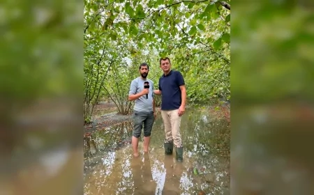Terme’de yaklaşık 600 dönüm arazi sular altında kaldı: Ferda Ergün DSİ kanallarını işaret etti