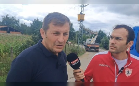 Terme Beşikli’de elektrik direğine temas eden inek öldü