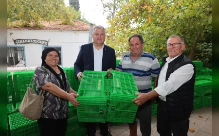 Urla Belediyesi’nden zeytin üreticisine hasat eğitimi ve 1.200 kasa desteği.