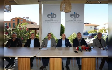 Satsuma Mandalinada İhracat Sezonu Başladı: 912 Milyon Dolarlık Gelir.