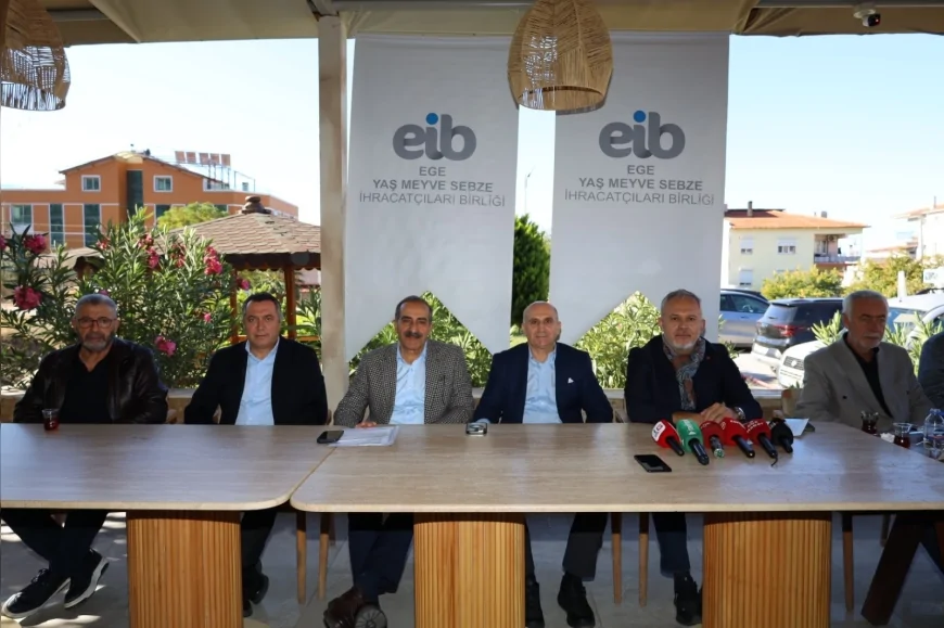 Satsuma Mandalinada İhracat Sezonu Başladı: 912 Milyon Dolarlık Gelir.