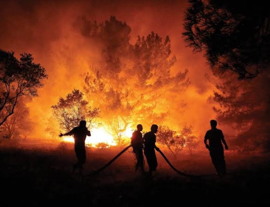 Çanakkale’deki orman yangınına ilişkin açıklama