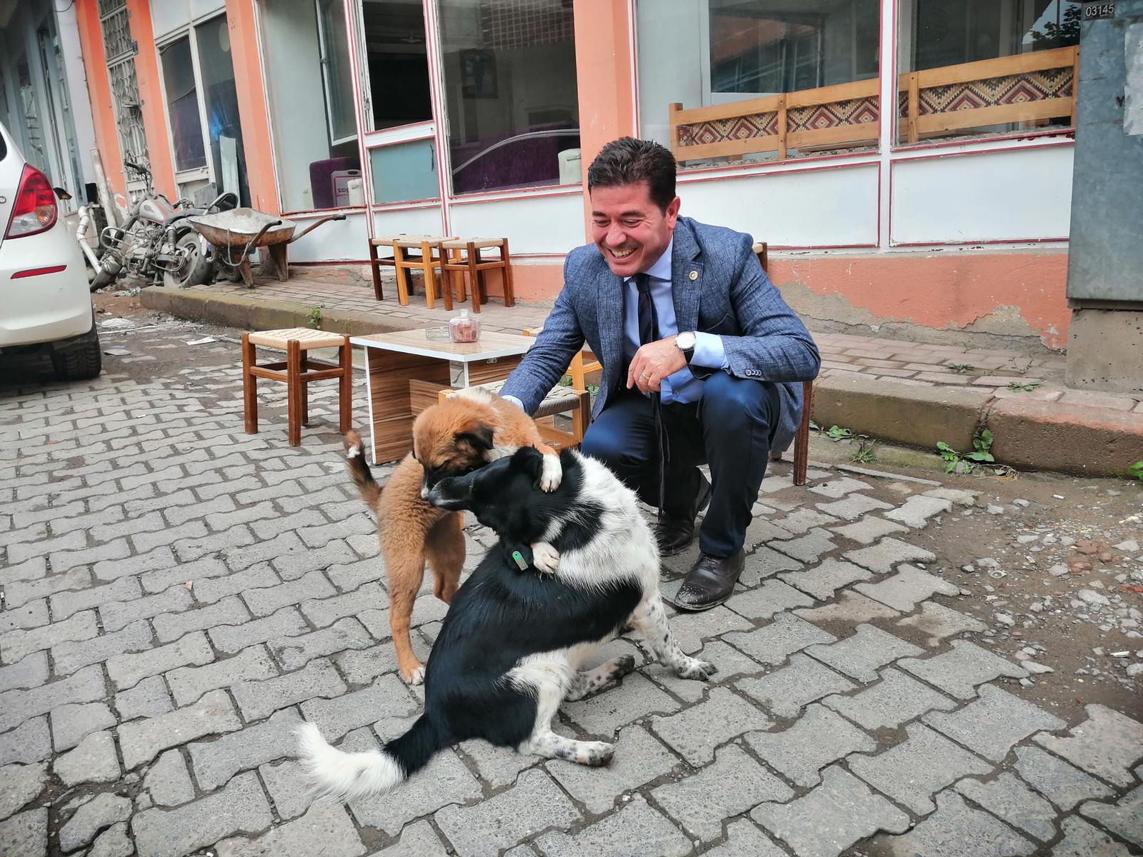 CHP’Lİ AHMET KAYA KEDİ VE KÖPEK MAMALARINDAKİ KDV’NİN DÜŞÜRÜLMESİNİ TEKLİF ETTİ...