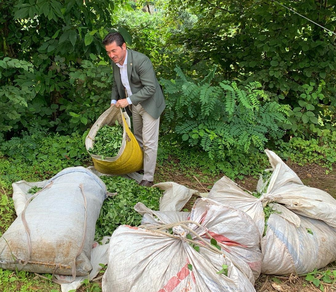 CHP’Lİ KAYA’DAN ‘ÇAY-KUR ÇAĞRISI: