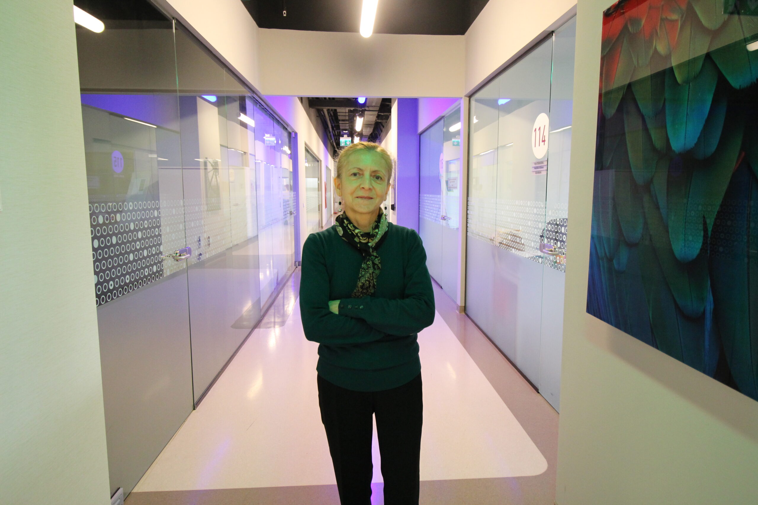 Çilek, domates, mantar ve bakla…