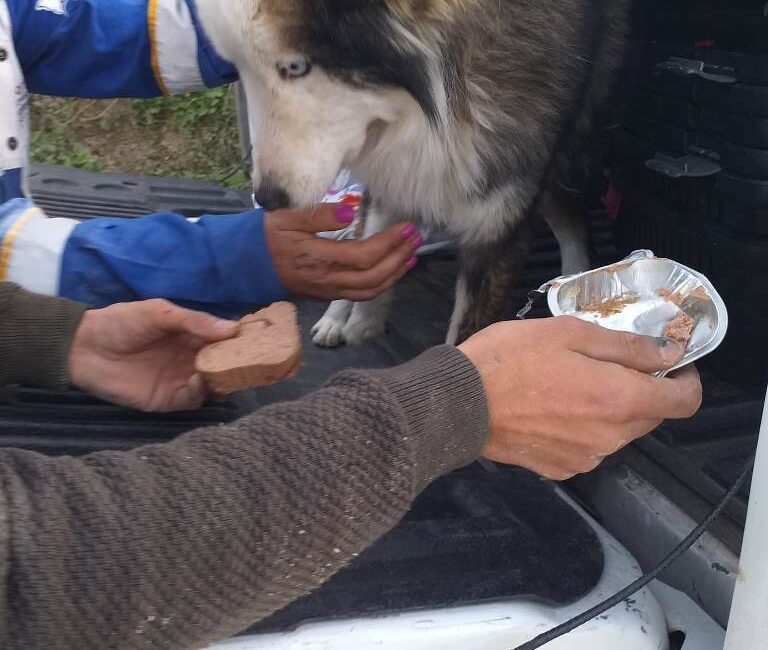 Antakya'nın Akcurun Köyü'nde depremin