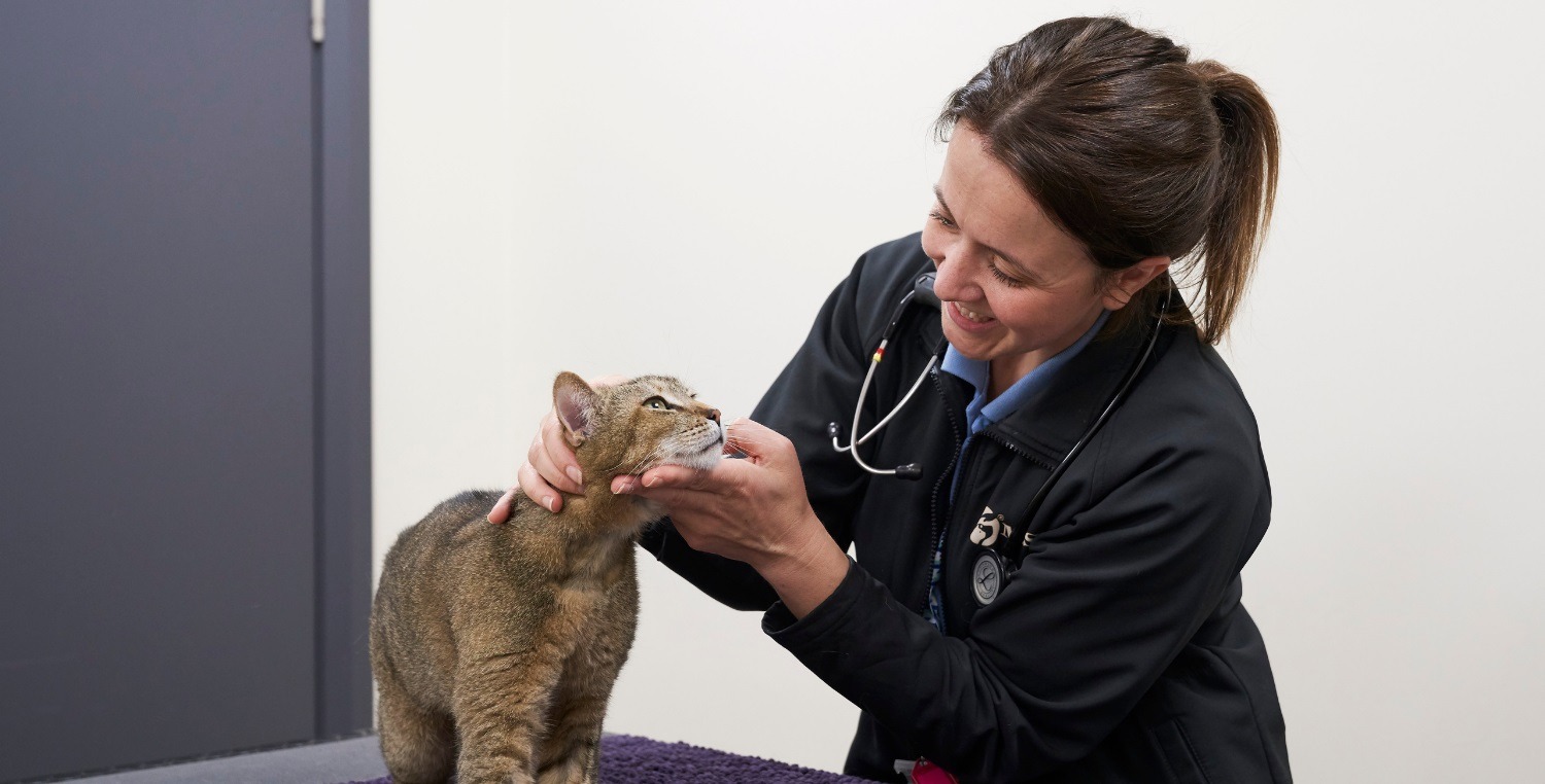  Geleceğin veteriner hekimleri destekleniyor…