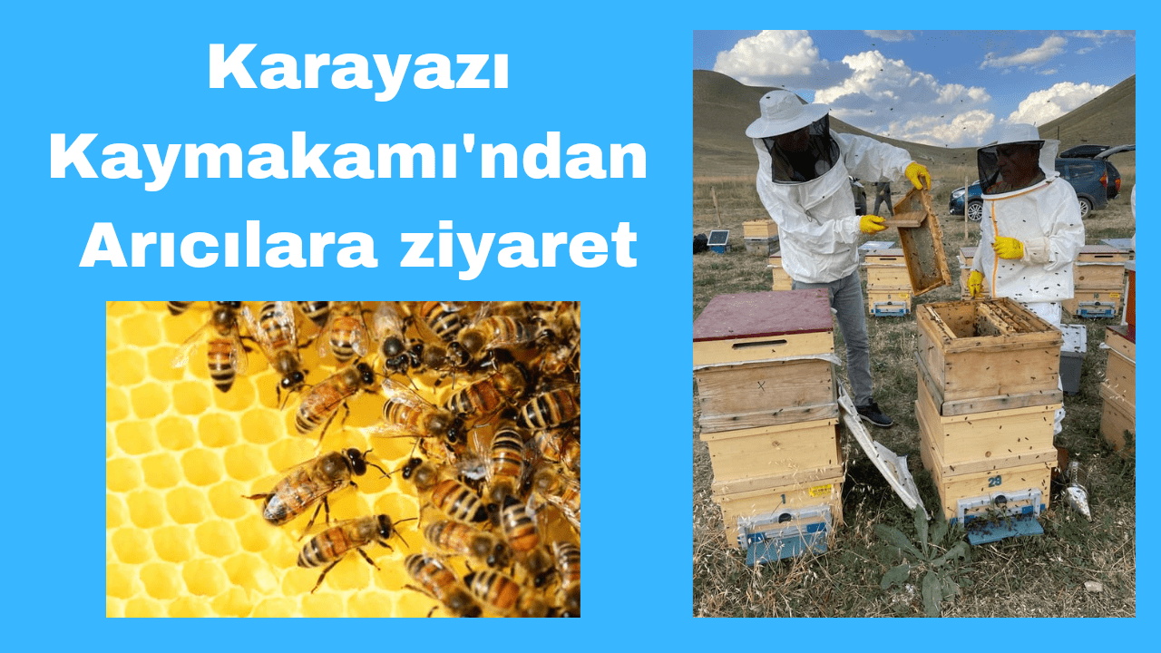 Karayazı Kayamakamı Arıcıları Ziyaret Etti