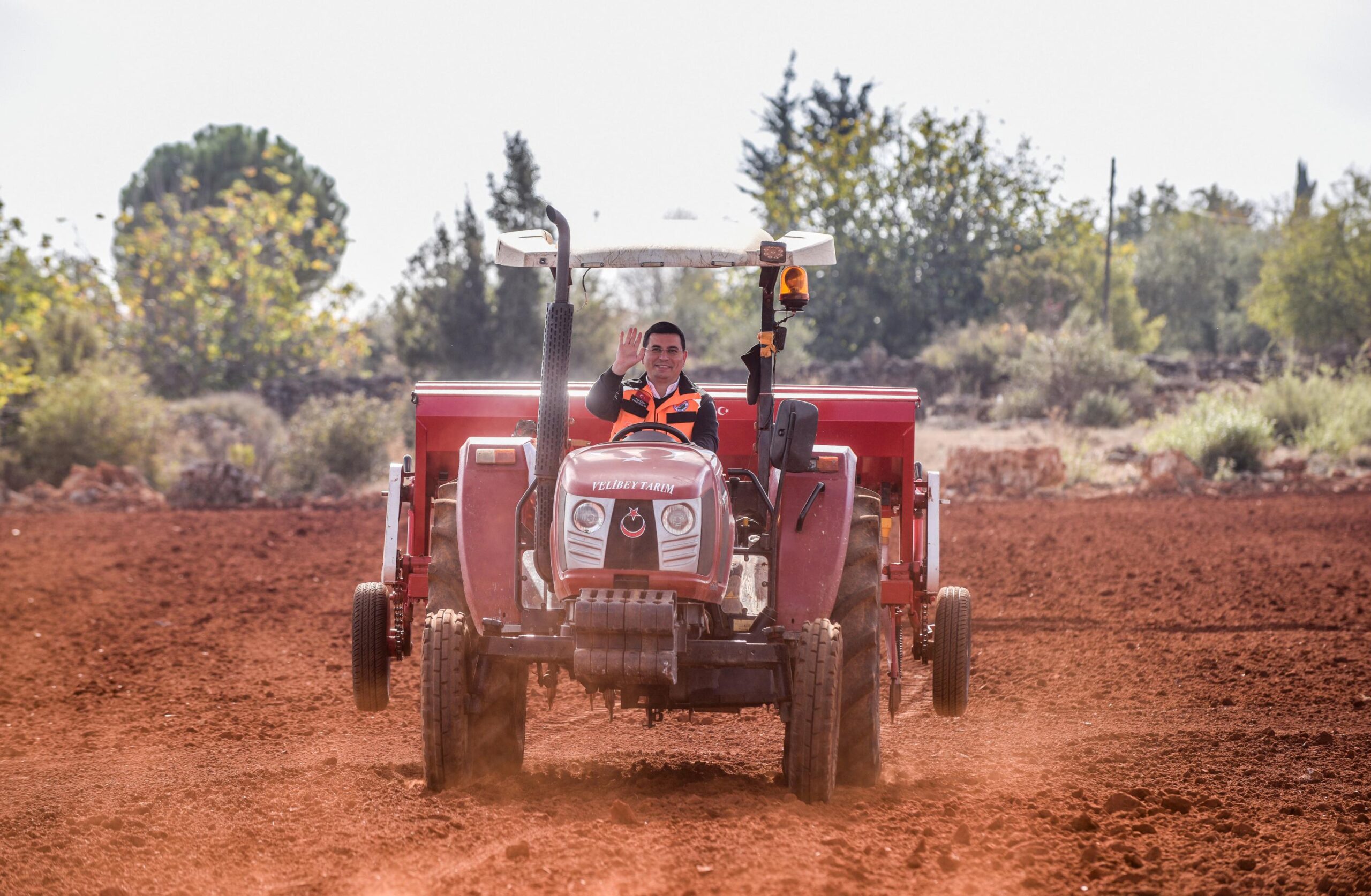 Kepez’in buğday ovaları yemyeşil