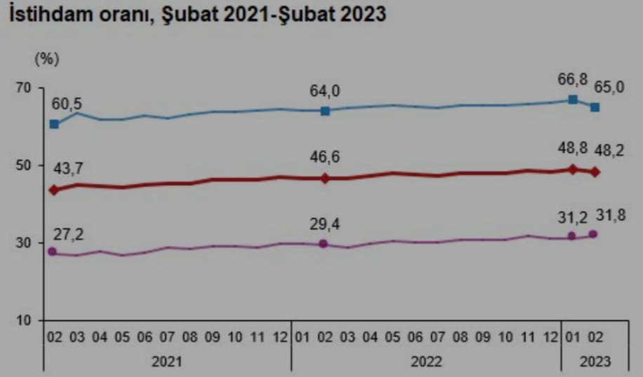MESLEĞİNDE İŞ BULAMAYAN ÜNİVERSİTE MEZUNLARININ SAYISI ARTIYOR