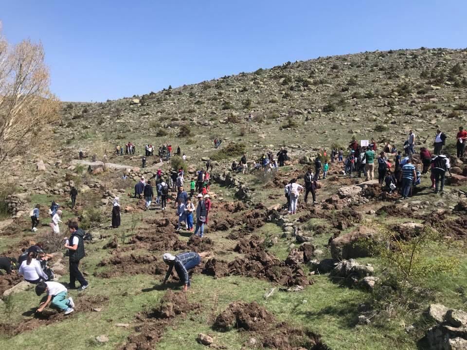 Sadullah Kavak’tan Ağaç dikim kampanyası…