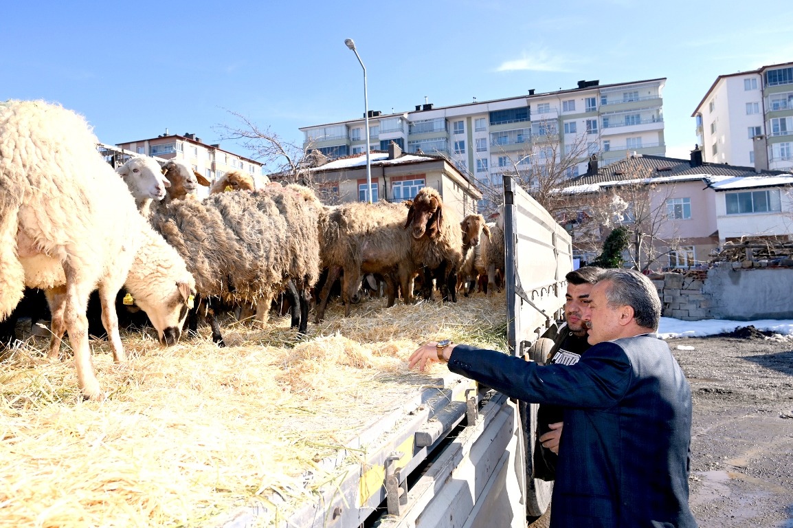 SEYDİŞEHİR’DEN GAZİANTEP’E KÜÇÜKBAŞ HAYVAN DESTEĞİ