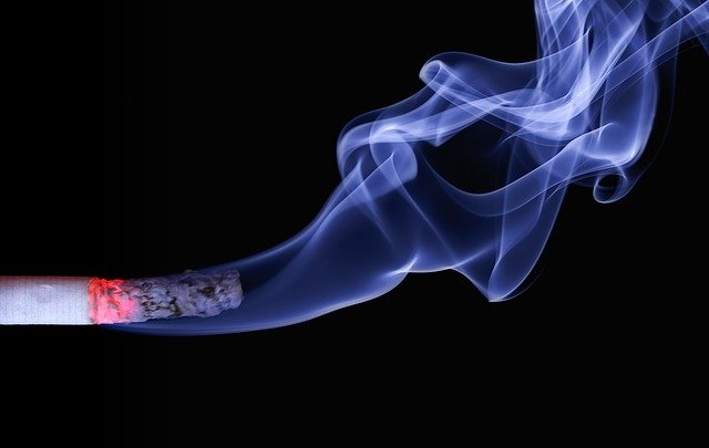 Philip Morris Grubu’ndaki sigaralara