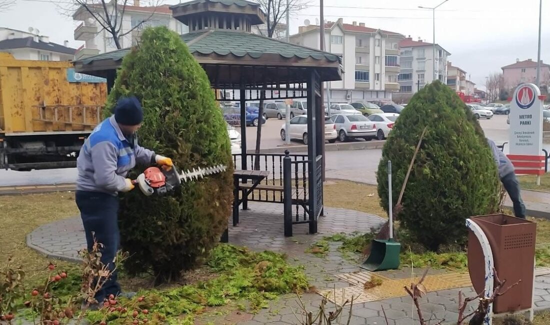 SİNCAN BELEDİYESİ AĞAÇ BAKIM VE BUDAMA