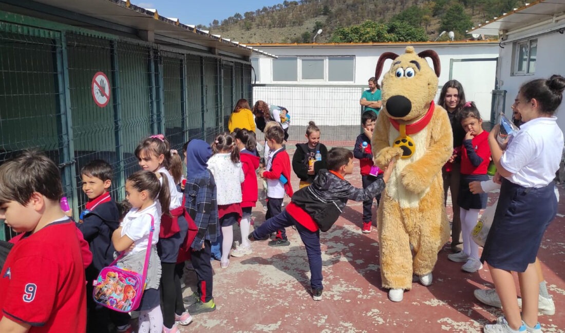 Çankaya Belediyesi Sahipsiz Sokak