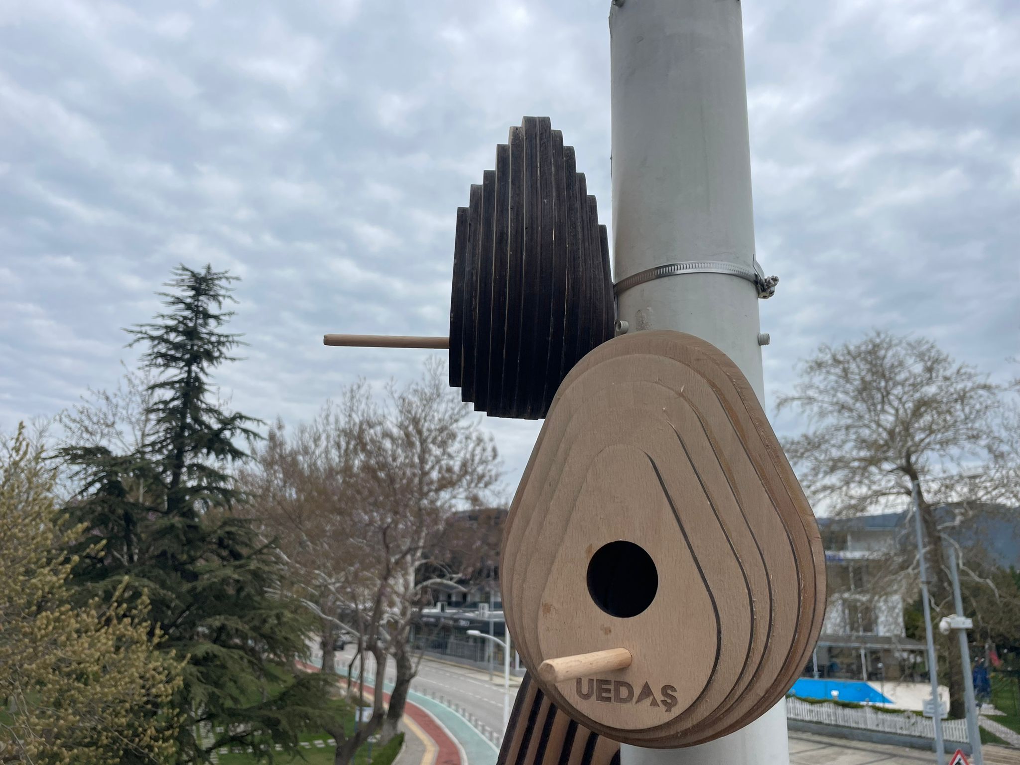 SOKAK LAMBALARI  KUŞLARIN YENİ YUVASI OLDU
