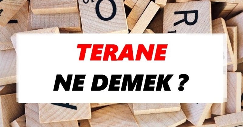 TERANE NE DEMEK, NEDİR? TDK'YE GÖRE ANLAMI