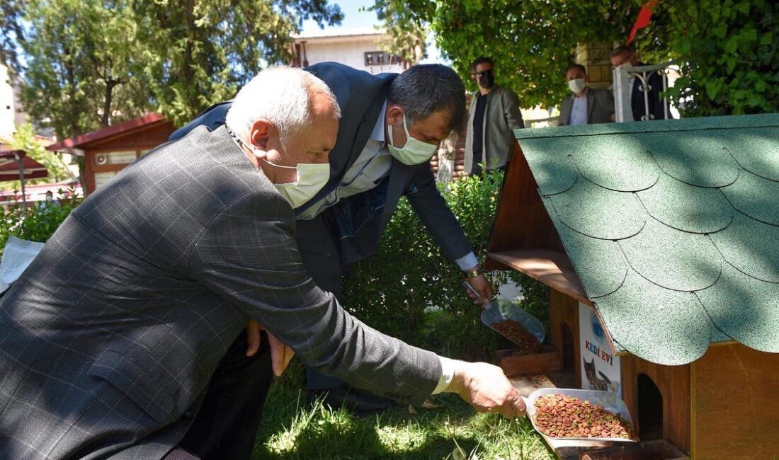 Taşköprü Belediye Başkanı Abdullah