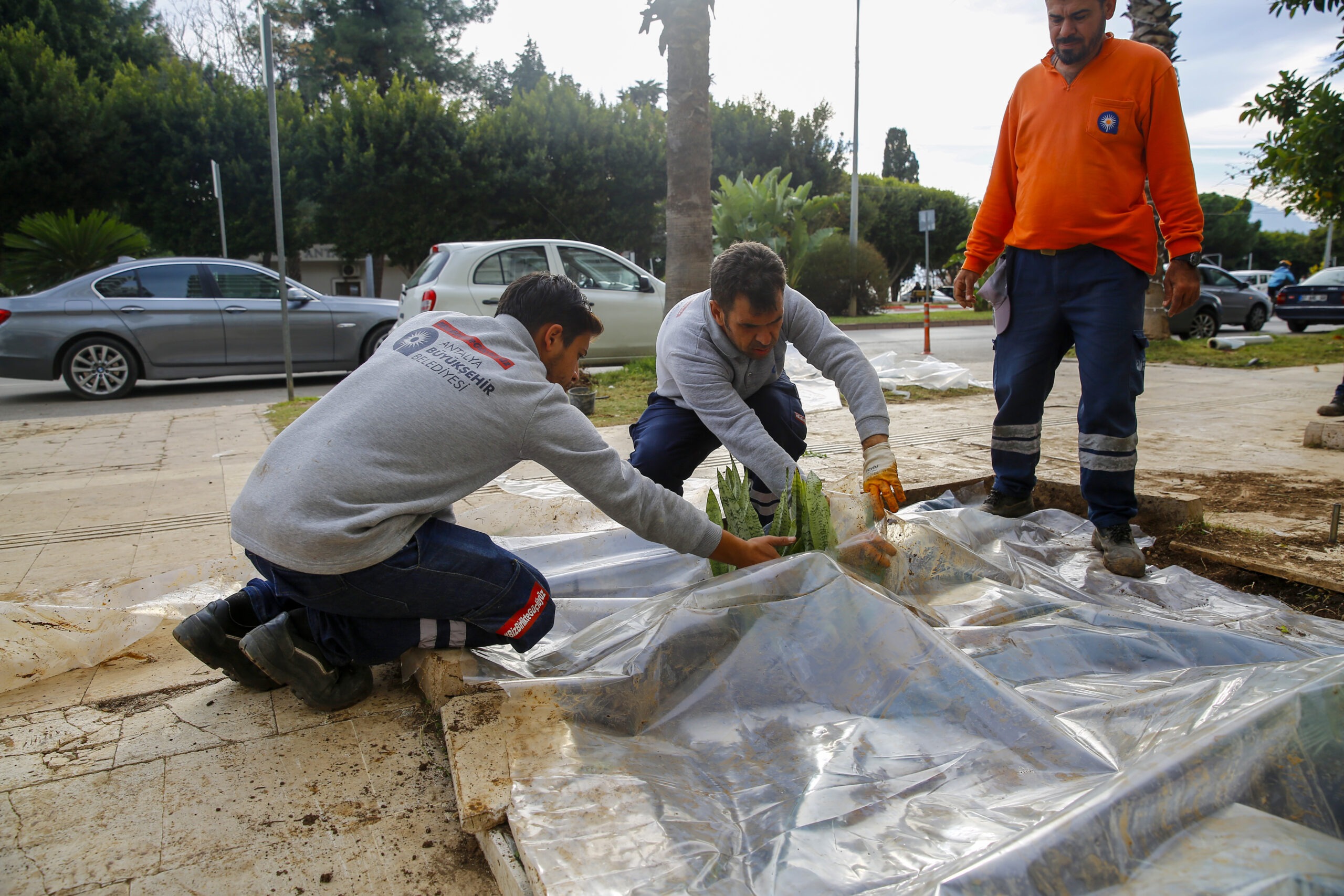 Konyaalti Caddesi Kurakcil Peyzaj Calismasi 11 scaled