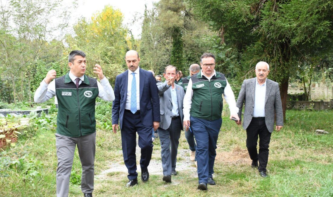 Terme Belediye Başkanı Ali