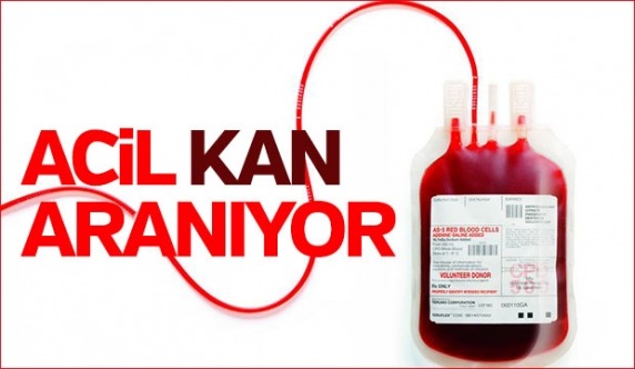 ACELE KAN ARANIYOR...