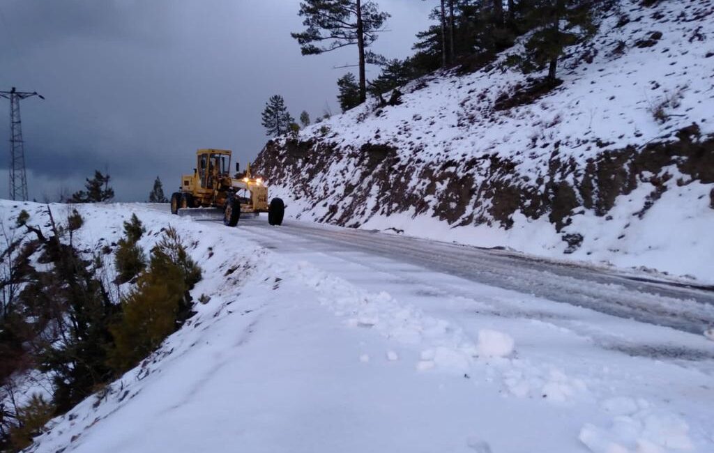 Antalya Büyükşehir Belediyesi, Alanya