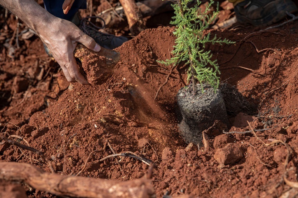 ANADOLU EFES’TEN MUĞLA BÖLGESİNE ANLAMLI KATKI