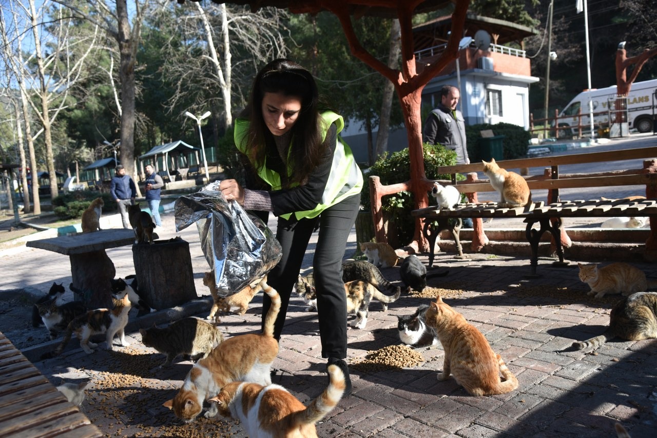 ASRIN FELAKETİNDE SOKAK HAYVANLARI UNUTULMADI