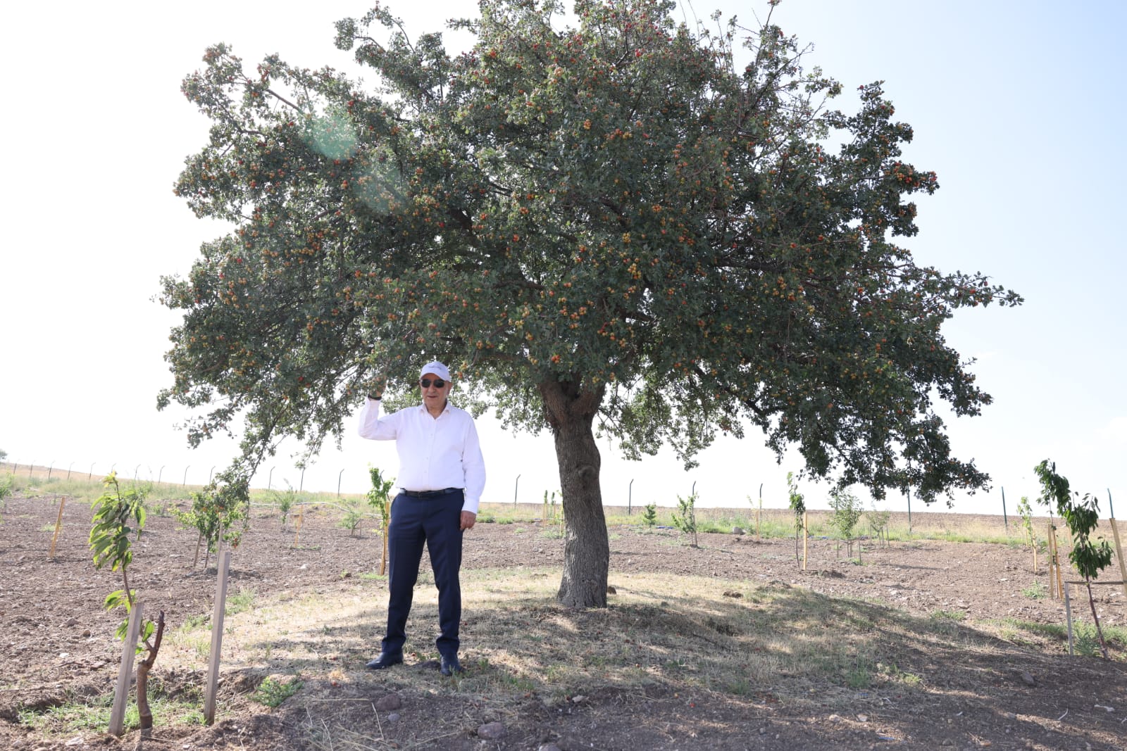 BAŞKAN ALTINOK’TAN MEYVE BAHÇESİNDE DENETİM