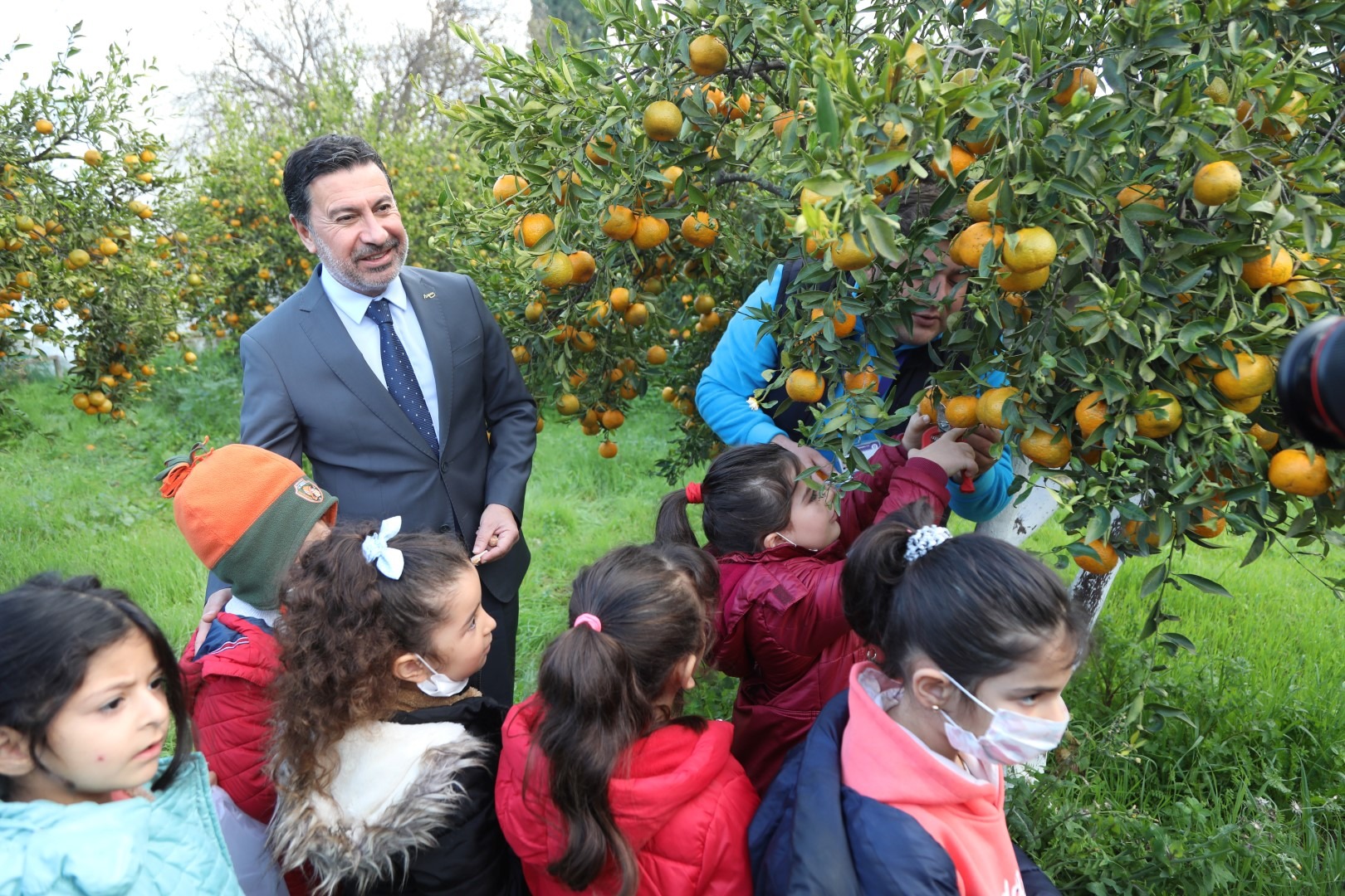 BAŞKAN ARAS, ÖĞRENCİLERLE MANDALİNA HASADI YAPTI