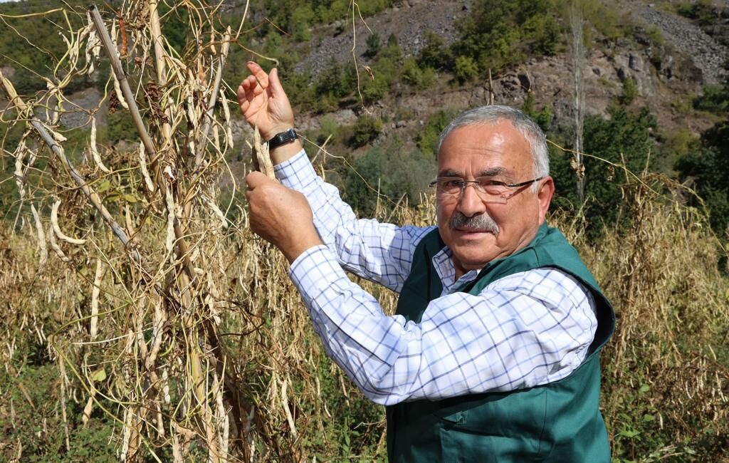 Başkent Postası  Gürkan