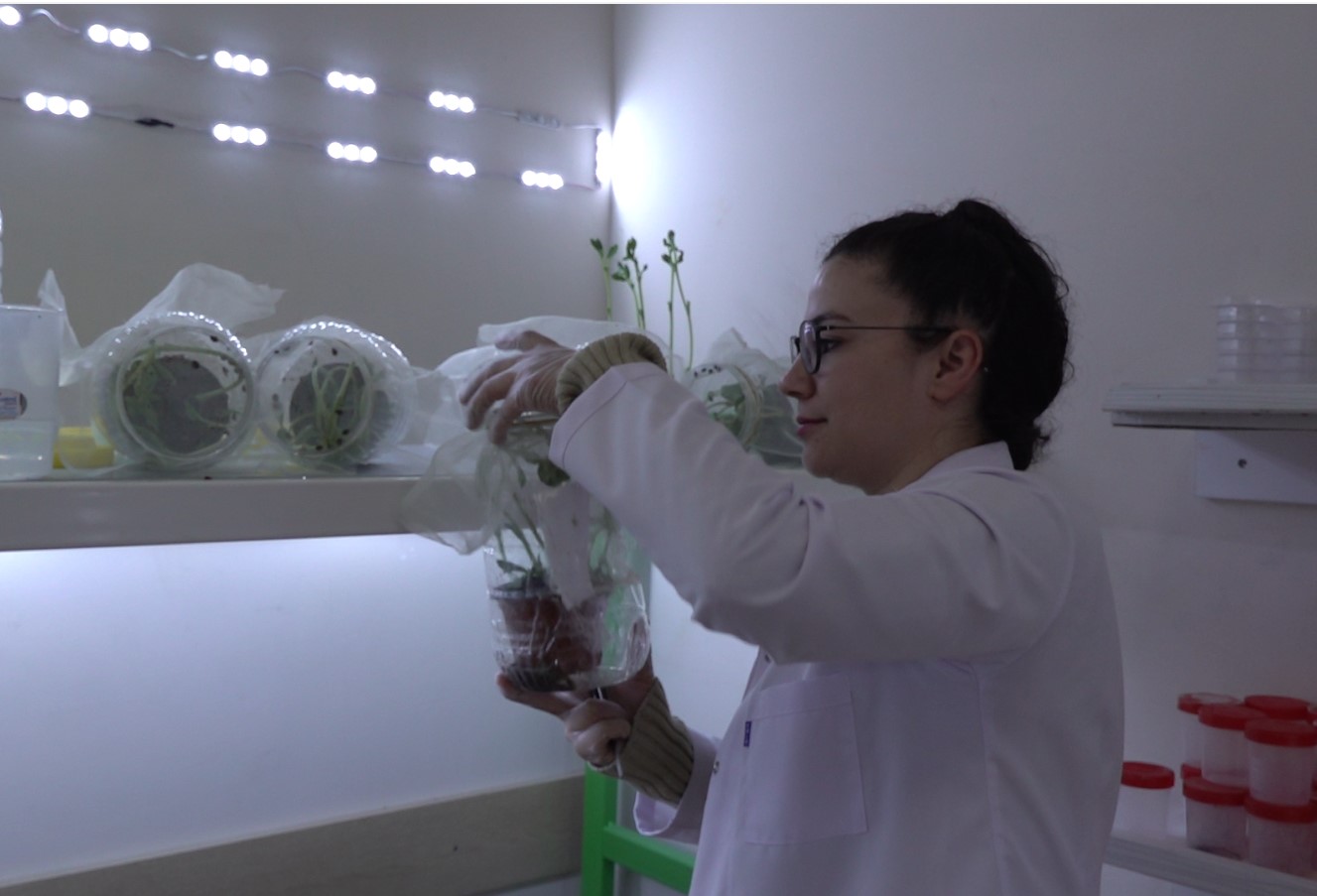 BÖCEK ÜRETİM LABORATUARI KURULDU